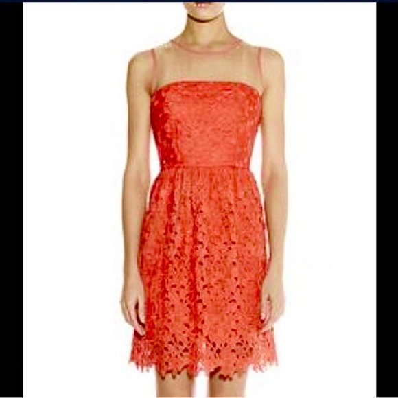 Darling Coral 'Sienna' Lace Dress - Picture 6 of 14
